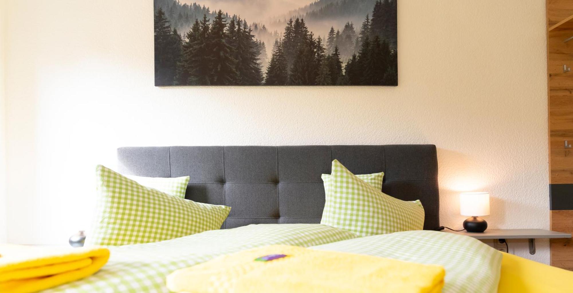 Pension Zum Schotten Zella-Mehlis Extérieur photo